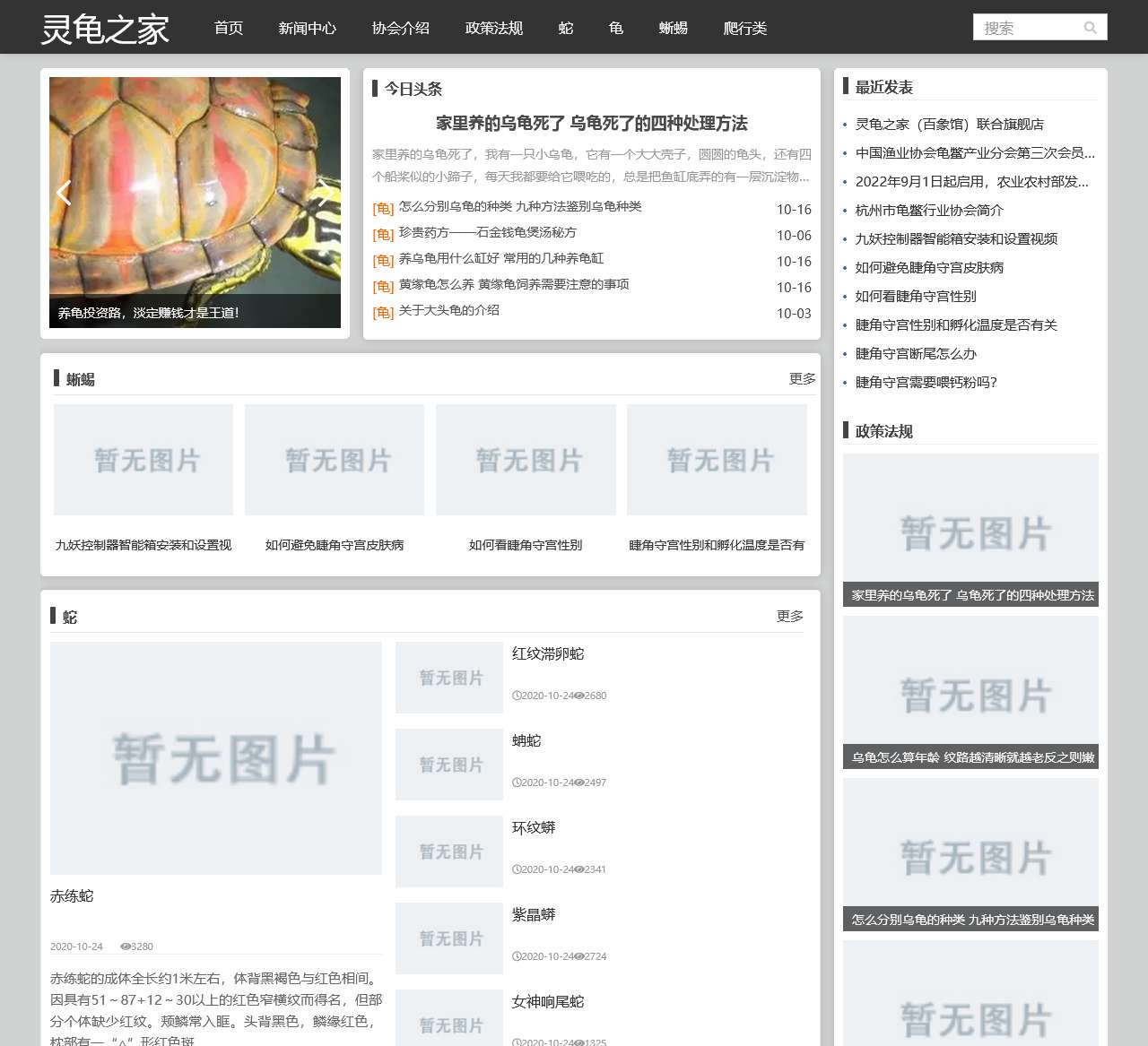 灵龟之家两爬论坛