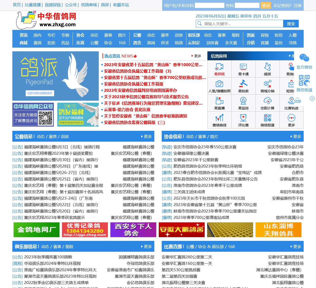 中华信鸽网