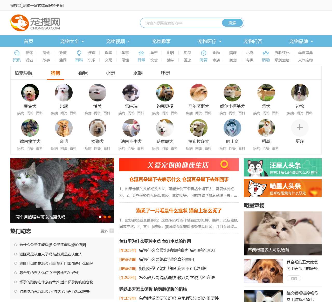 宠物第一门户_宠搜网_宠物一站式综合服务平台
