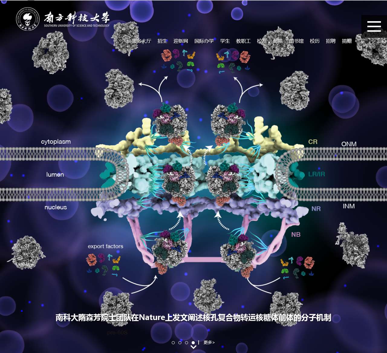 南方科技大学