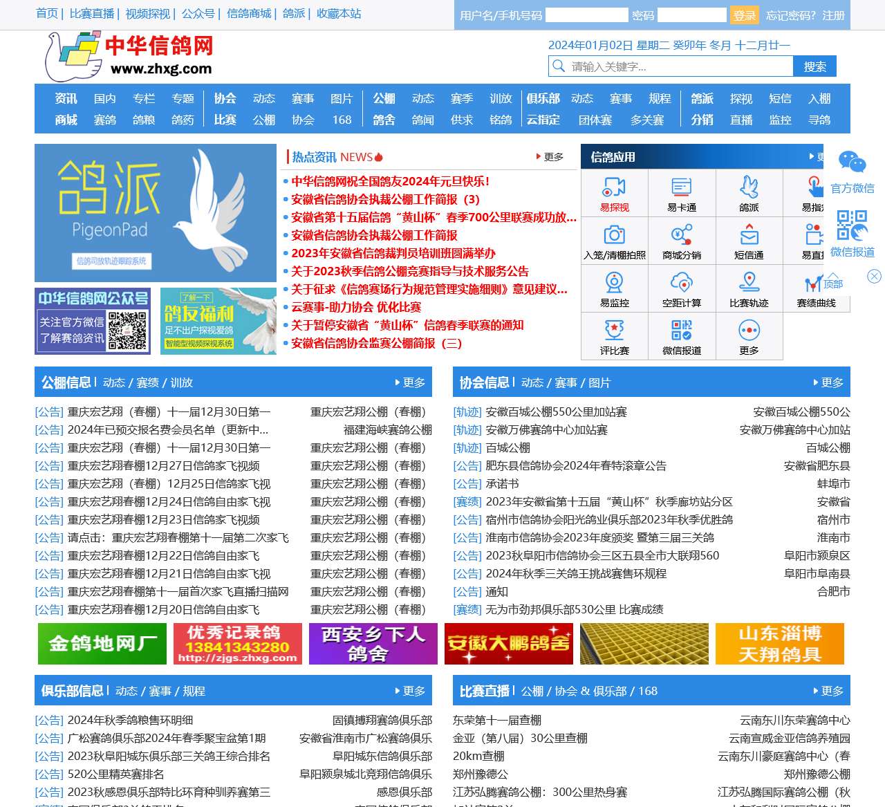 信鸽网