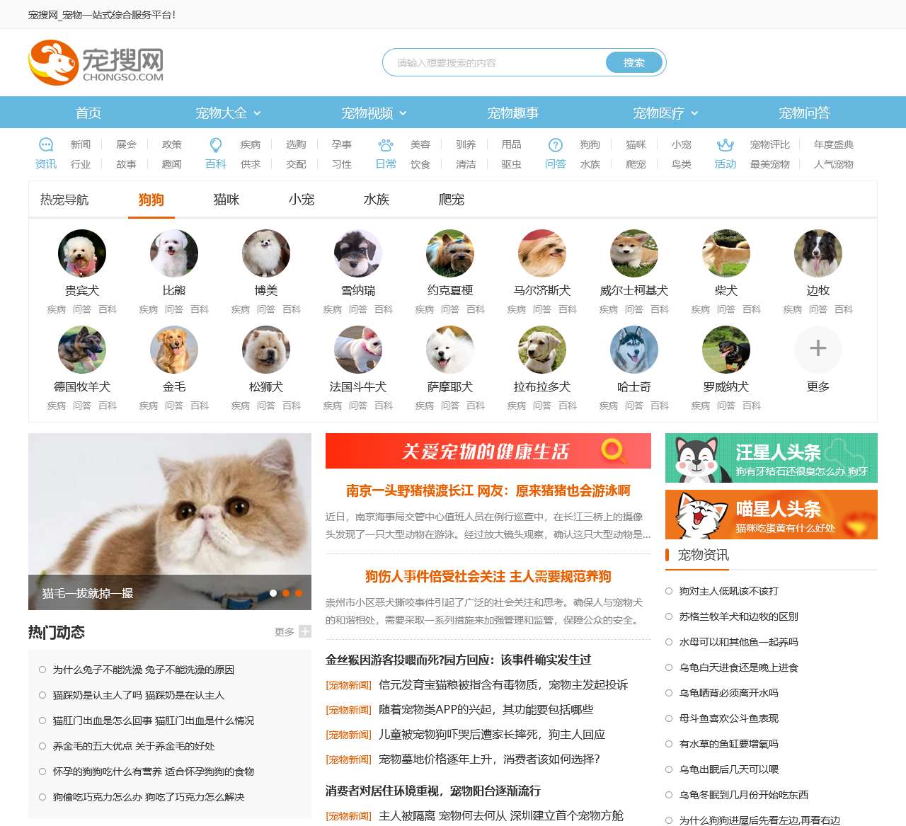 宠物第一门户_宠搜网_宠物一站式综合服务平台
