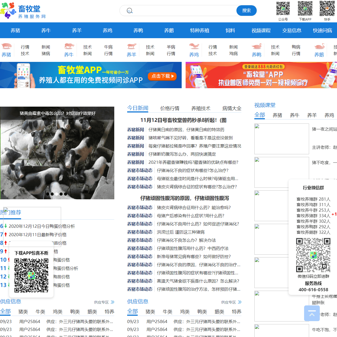 畜牧堂-兽医在线-猪牛羊鸡鸭鹅在线视频问病