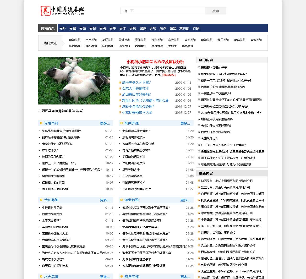 中国养殖基地-养殖 养猪 养鸡 养牛 养羊 家禽 特种养殖 畜牧 水产行业门户网站