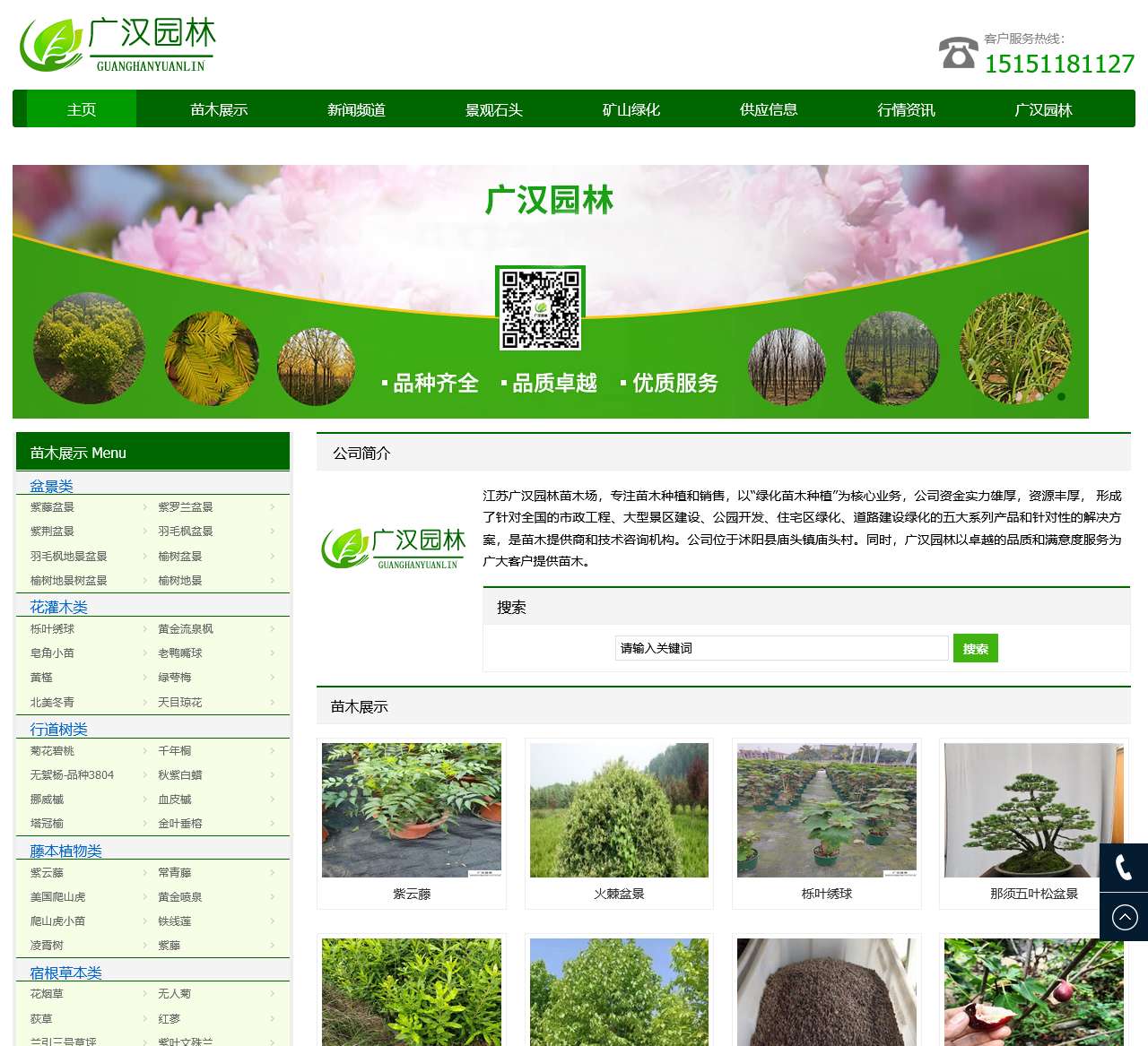 绿化苗木