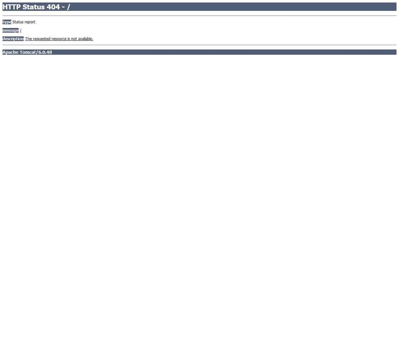 Apache Tomcat/6.0.48 - Error report