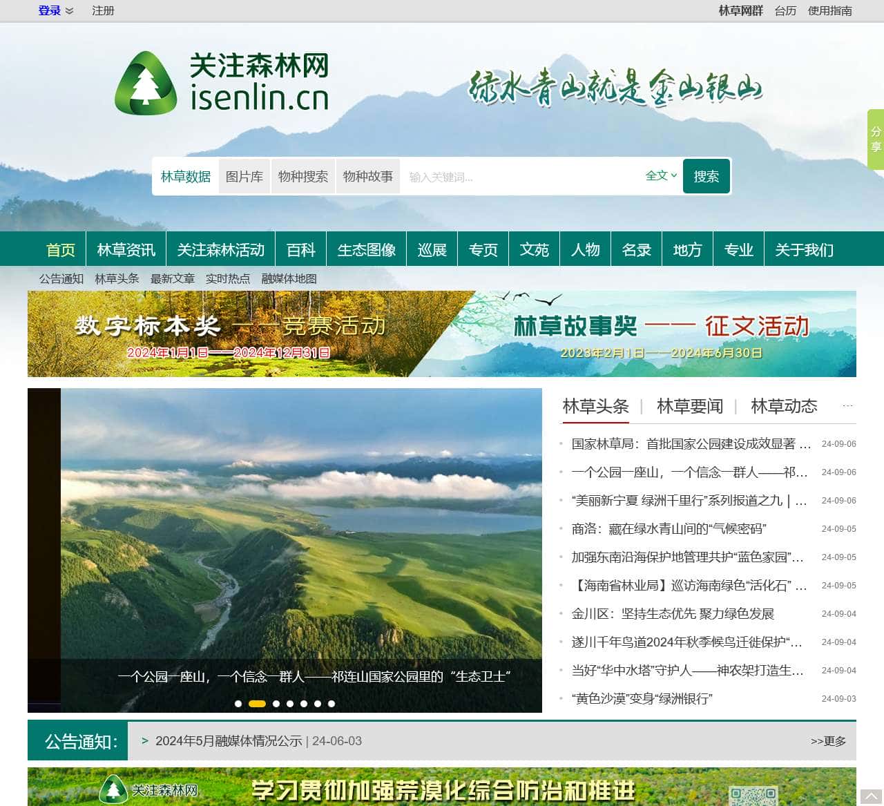 关注森林