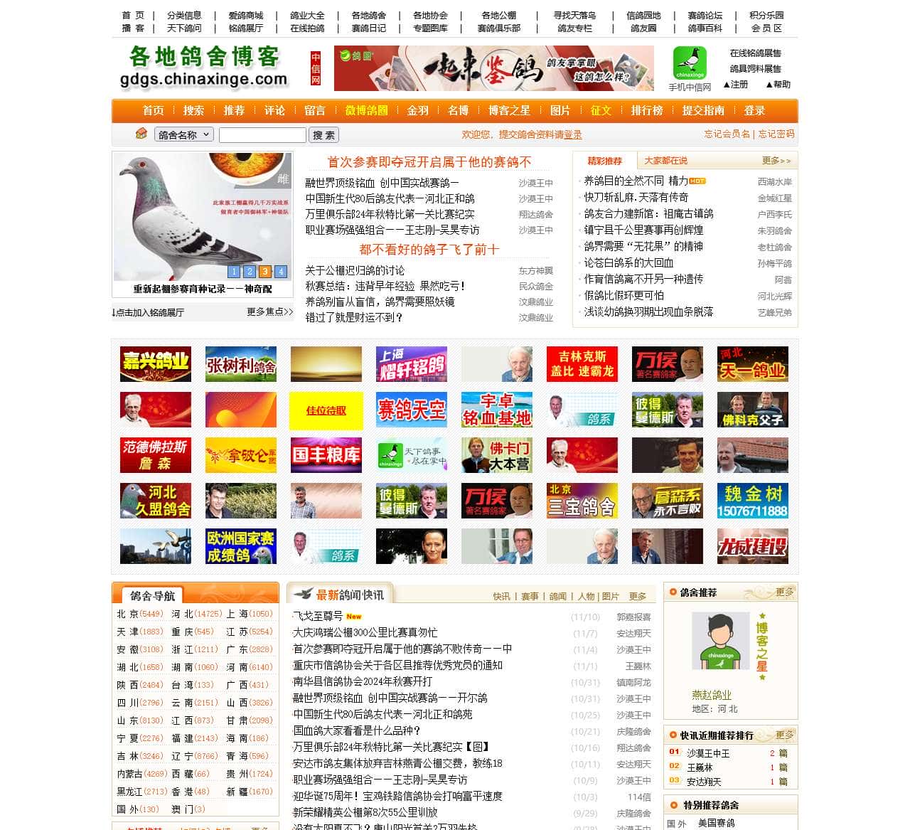 中信网各地鸽舍博客