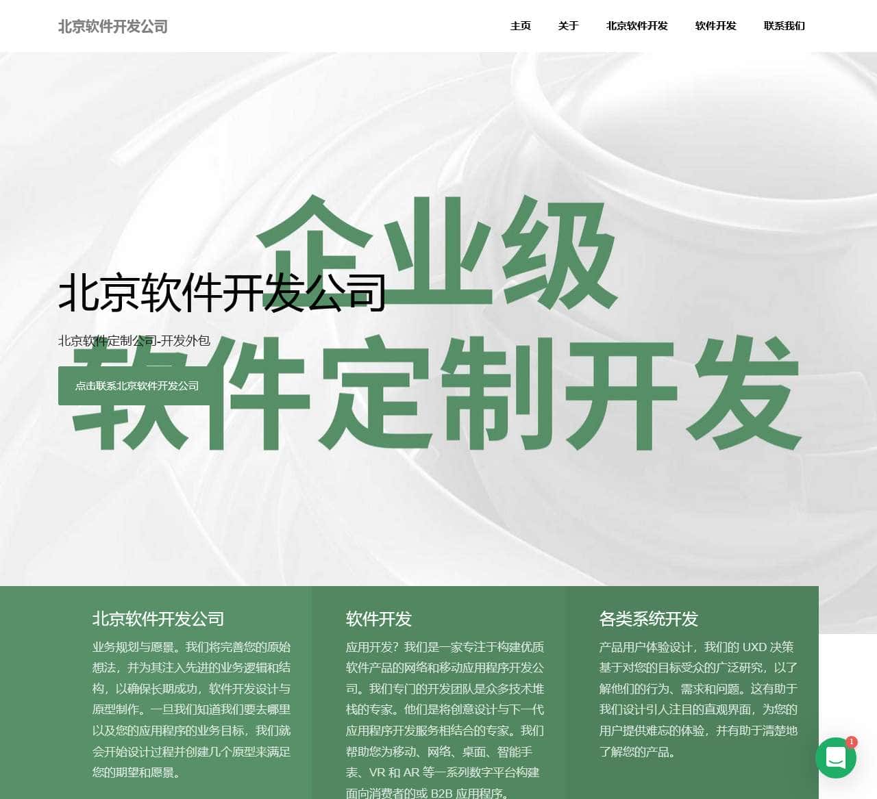 北京软件定制公司