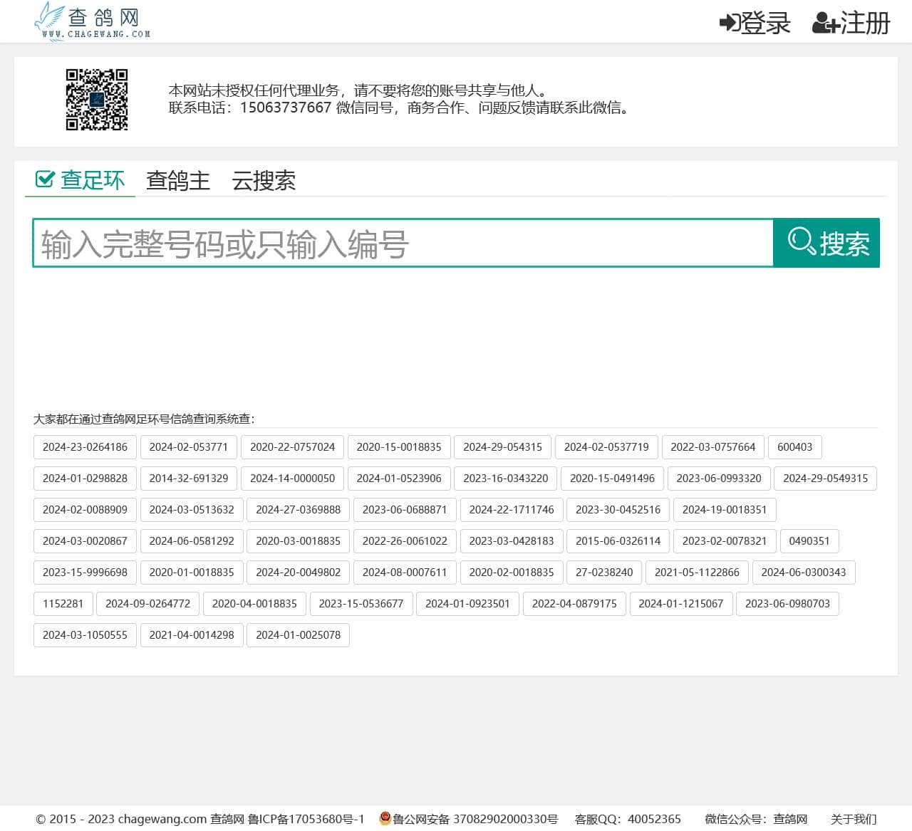 查鸽网