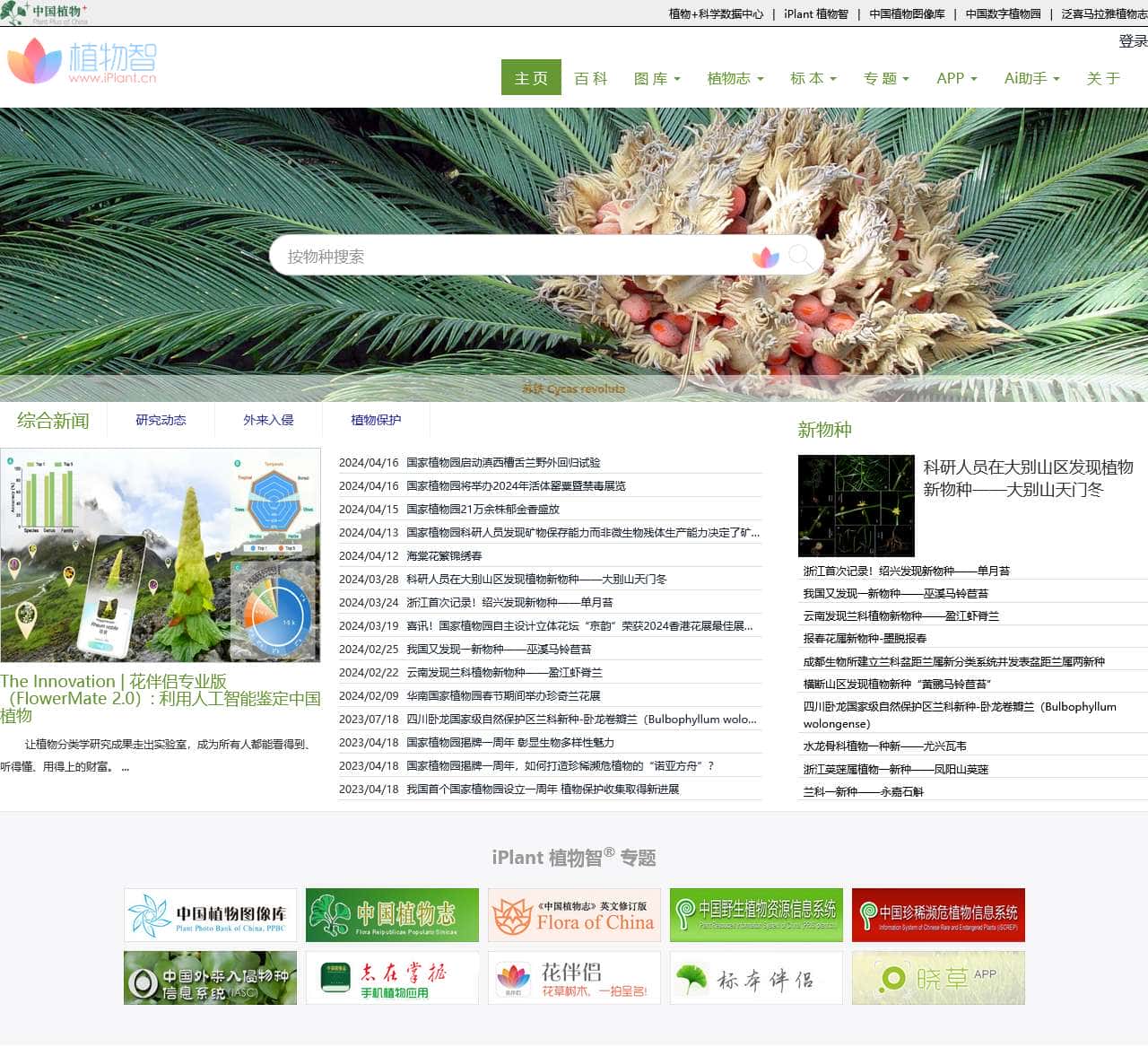 iPlant 植物智——植物物种信息系统