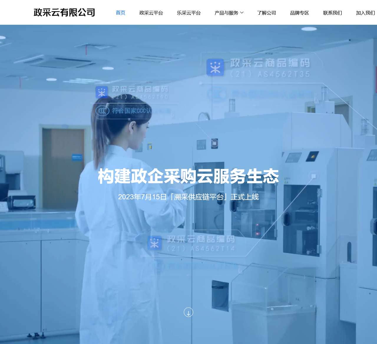 政采云有限公司官网