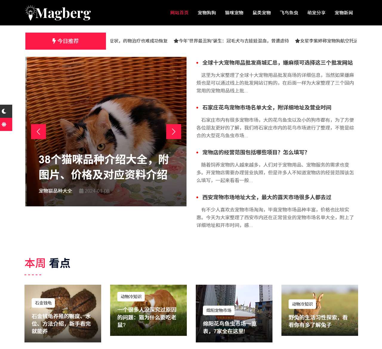 爱宠坞 - 分享科学养宠知识