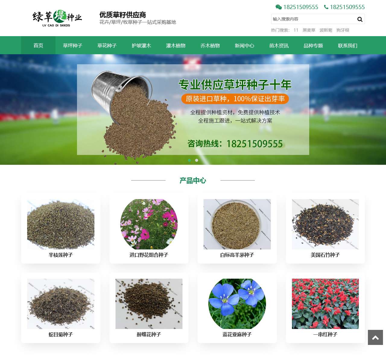 进口草坪种子批发供应商