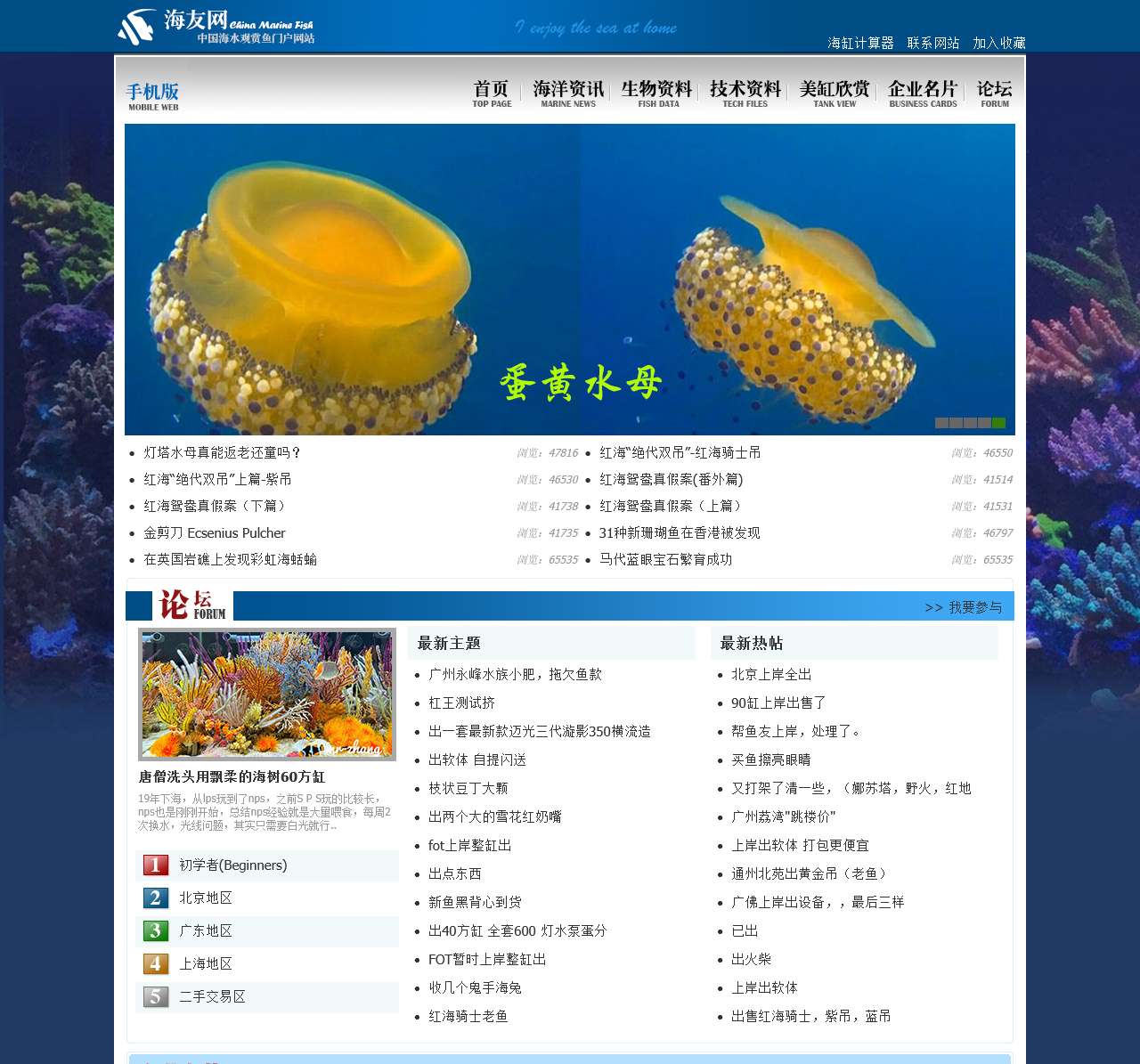 海友网CMF