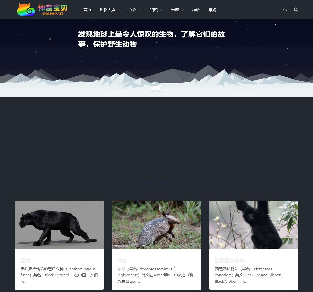 动物Top